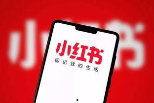 小红书网红歺车,跟随小红书达人品味街头风味