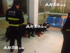 街头网红藏族男孩叫什么,闪耀高原的青春风采