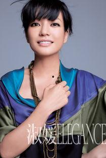 淑明星,闪耀舞台的璀璨星辰