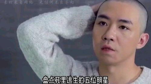 那些涅槃重生的明星,逆境中的华丽蜕变