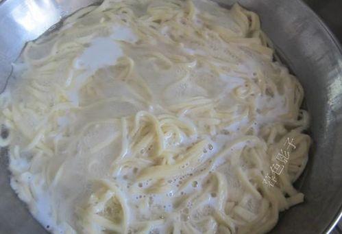 明星在学校吃面条,面条美食背后的温馨瞬间