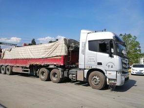 卡车网红开什么车好,揭秘网红卡车车型偏好