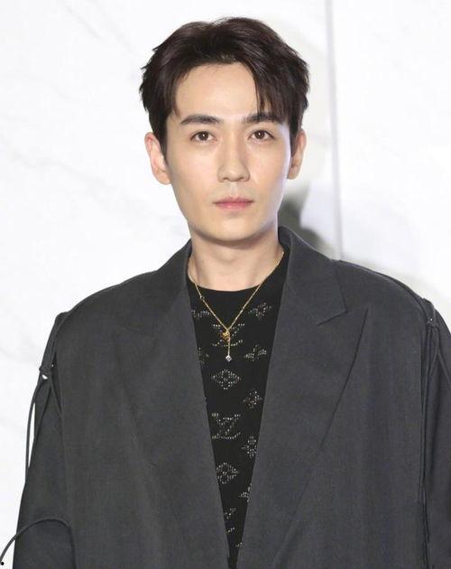 国里男明星,魅力四溢，星光熠熠