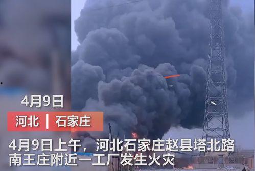 商丘最新爆料事件视频曝光,视频曝光惊人事件幕后真相