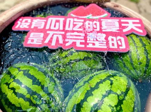 吃瓜大型秀,揭秘吃瓜大型秀背后的精彩瞬间