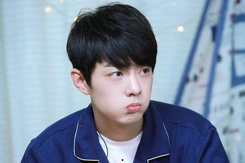 呆萌男明星,揭秘娱乐圈的“萌神”男明星