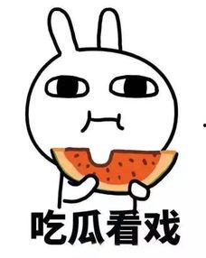 吃瓜涂涂,揭秘娱乐圈背后的那些事儿