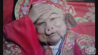 八戒网红歌,趣味横生，笑料百出的音乐盛宴